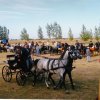IMG_0020